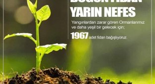 Elazığspor, 1967 fidan bağışlayacak