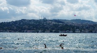 Boğaziçi Kıtalararası Yüzme Yarışı yapıldı
